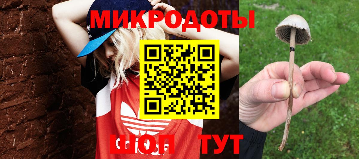 Псилоцибиновые грибы GOLDEN TEACHER Обь