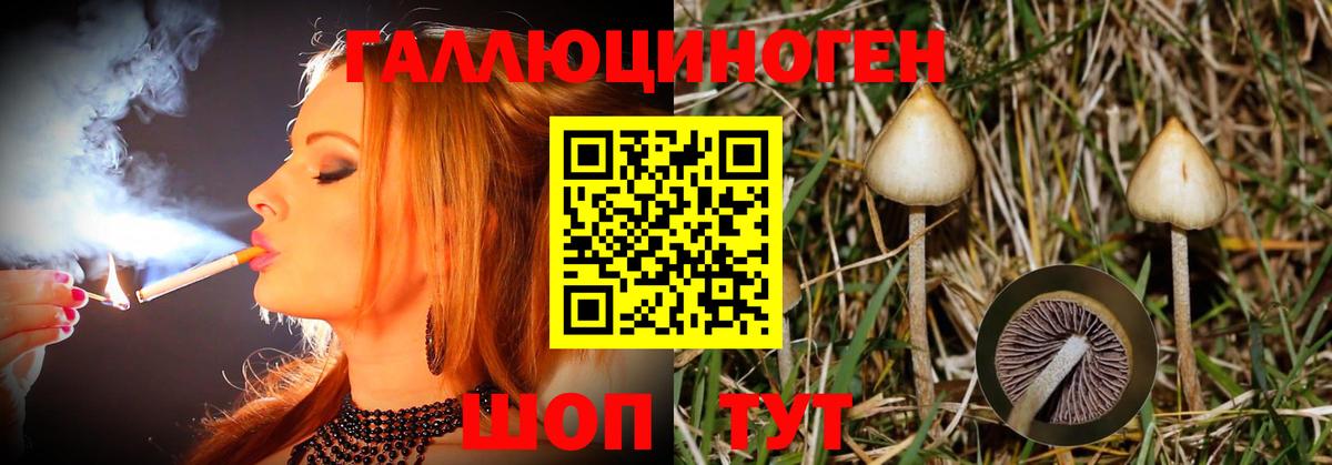 Обь  Галлюциногенные грибы ЛСД  Вход с VPN 